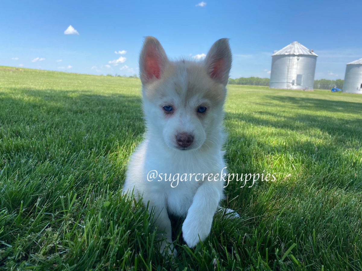 Luna